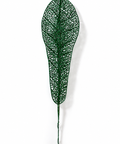 Follaje hoja grande 22 cm - foto 1